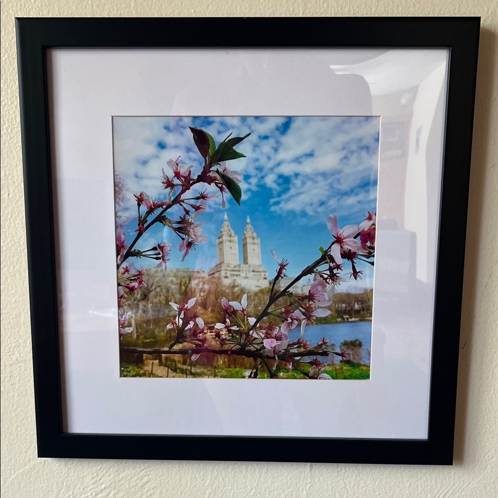 Framed Floral Photography original picture from NY